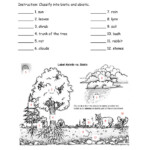 Biotic Or Abiotic Worksheet