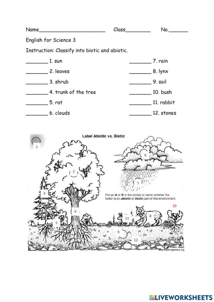 Biotic Or Abiotic Worksheet