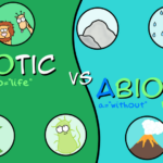 Biotic Vs Abiotic Factors Science With The Amoeba Sisters