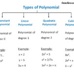 Differnet Types Of Polynomial Constant Linear Quadratic Teachoo