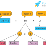 Expression Term Factor Coefficient Definition And Examples Cuemath