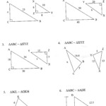 Scale Factor Worksheet 5th Grade Educational Worksheet