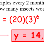 03 Exponential Growth Decay Word Problems Jeanmarie Mullen