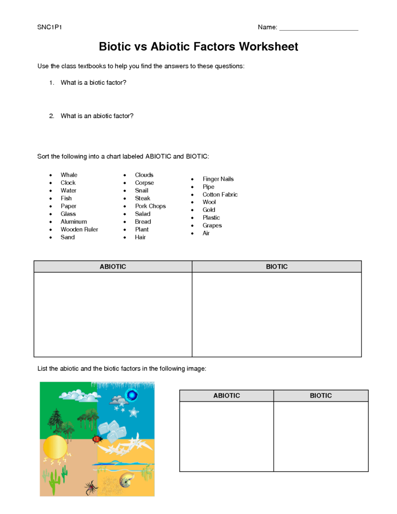 Biotic And Abiotic Factors Worksheet Factors Worksheet Abiotic 