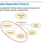 Effect Of Density Of Populations Study Guide Inspirit