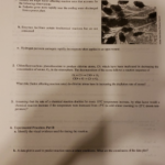Factors Affecting Reaction Rates Lab Discussion 2022 11 03