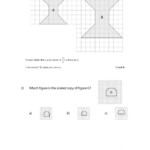 Scale Factor Worksheet Worksheet